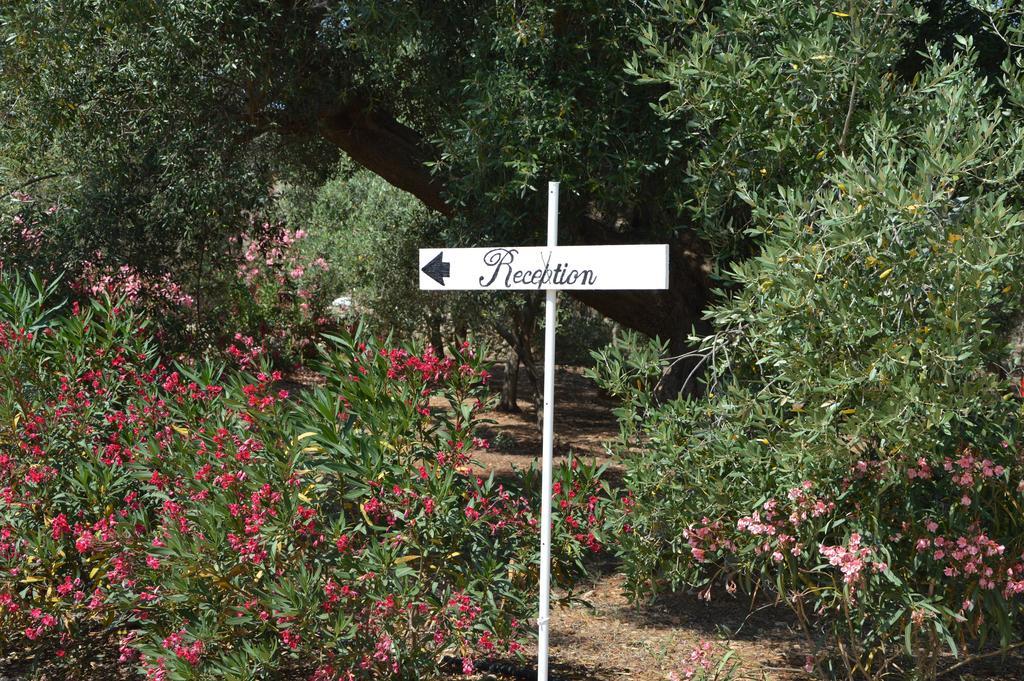 Agriturismo Masseria San Leonardo Savelletri Exterior foto