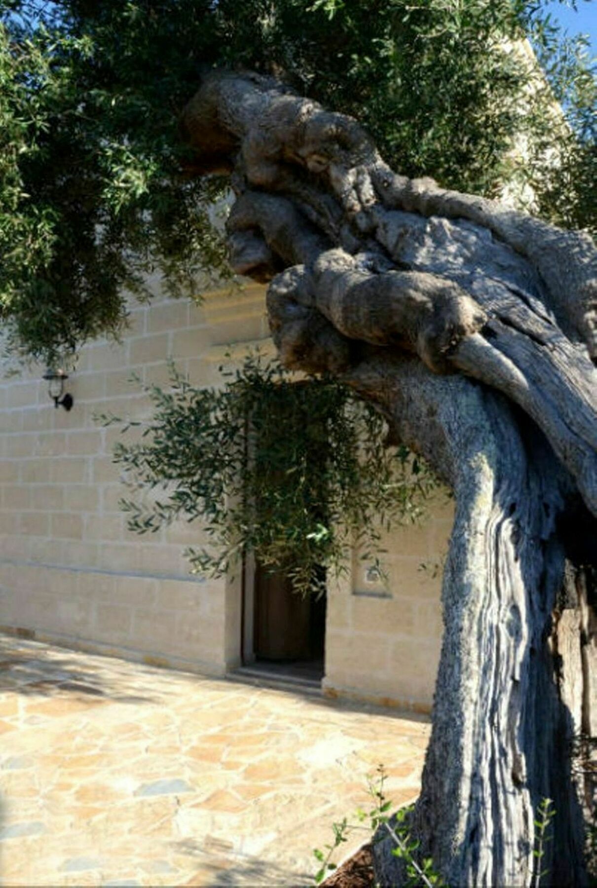 Agriturismo Masseria San Leonardo Savelletri Exterior foto